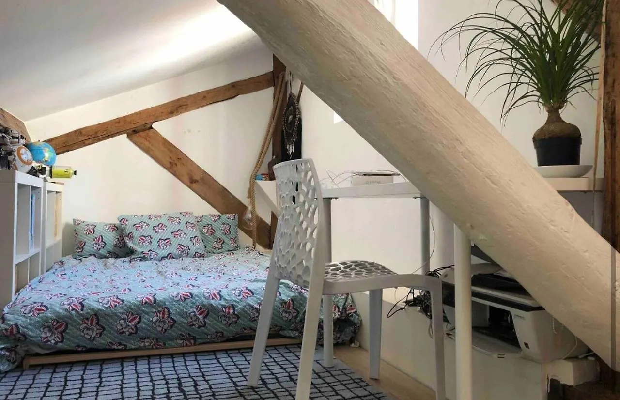 شقة Coeur De Lyon Avec Terrasse Et Jacuzzi فرنسا